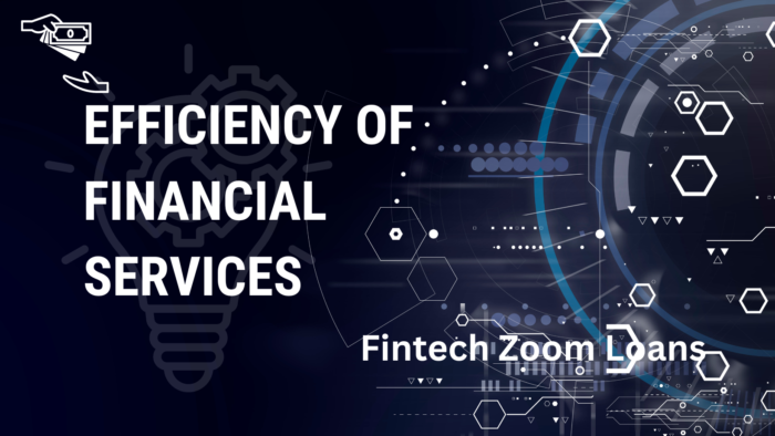 Fintech Zoom Loans