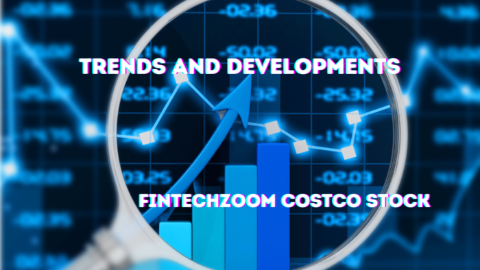 Fintechzoom Costco Stock