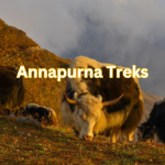 Annapurna Treks