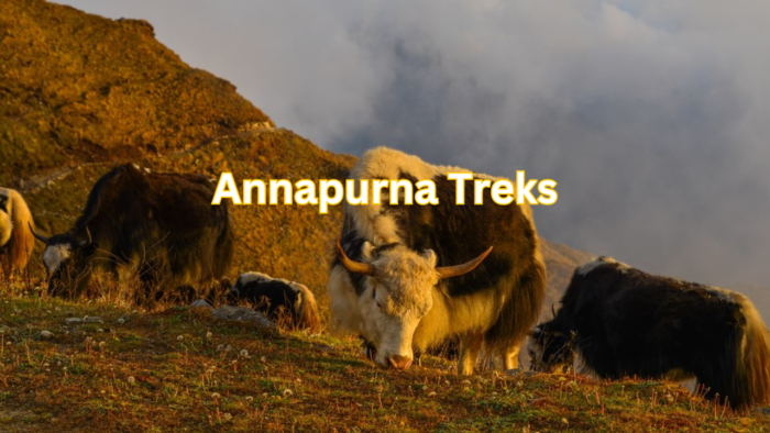 Annapurna Treks