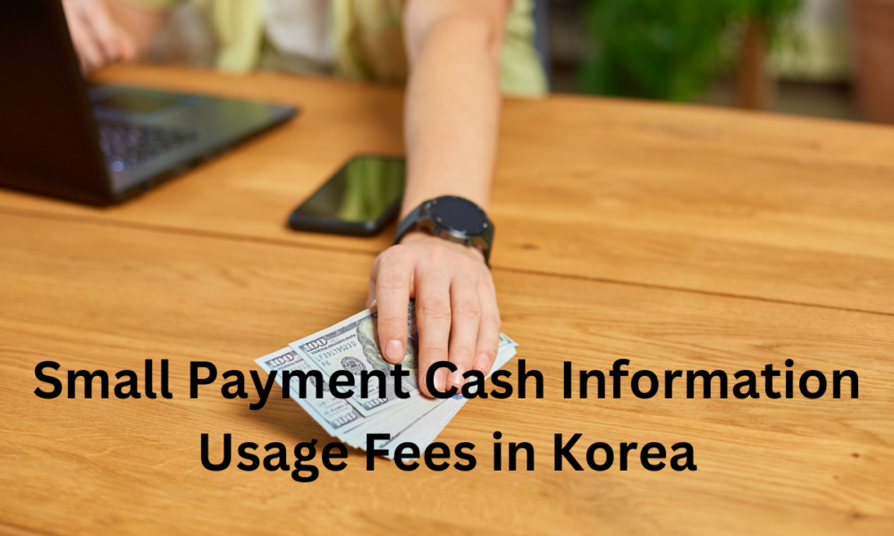 Small Payment Cash Information Usage Fees in Korea