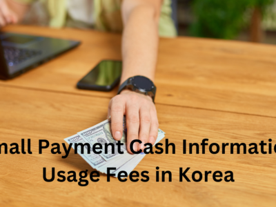 Small Payment Cash Information Usage Fees in Korea