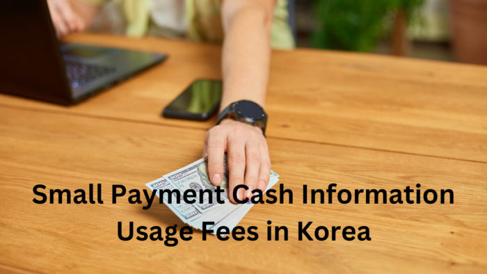 Small Payment Cash Information Usage Fees in Korea