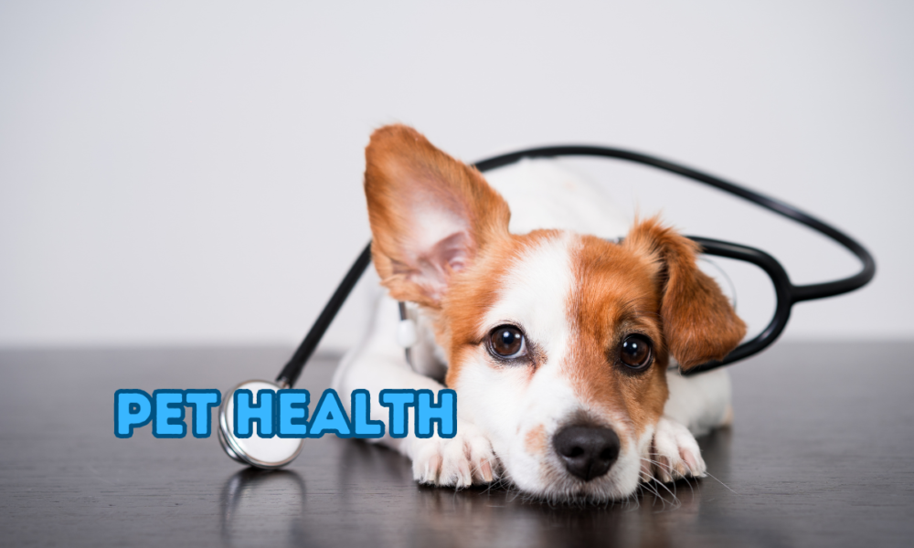 Pet Health