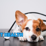 Pet Health