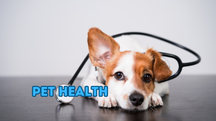 Pet Health
