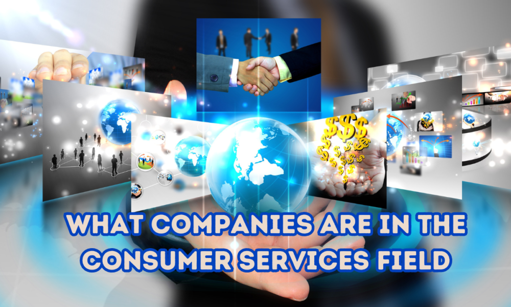 What Companies Are In The Consumer Services Field
