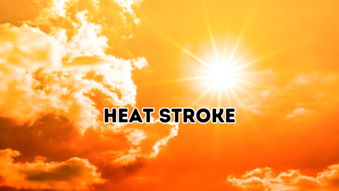 Heat Stroke