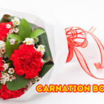 Carnation Bouquet