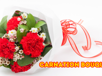 Carnation Bouquet