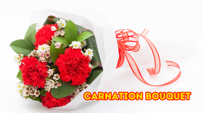 Carnation Bouquet