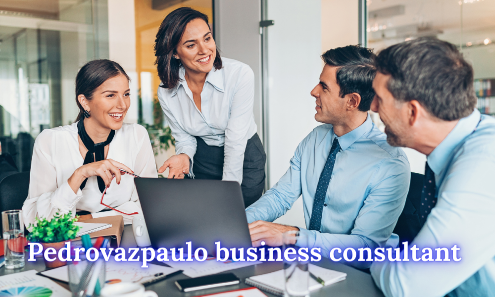 Pedrovazpaulo business consultant