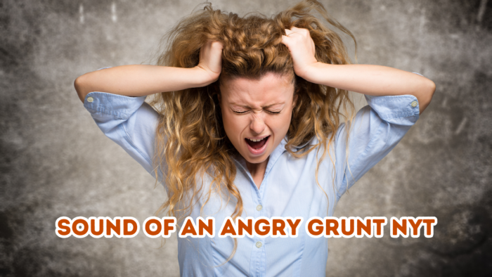 Sound Of An Angry Grunt NYT