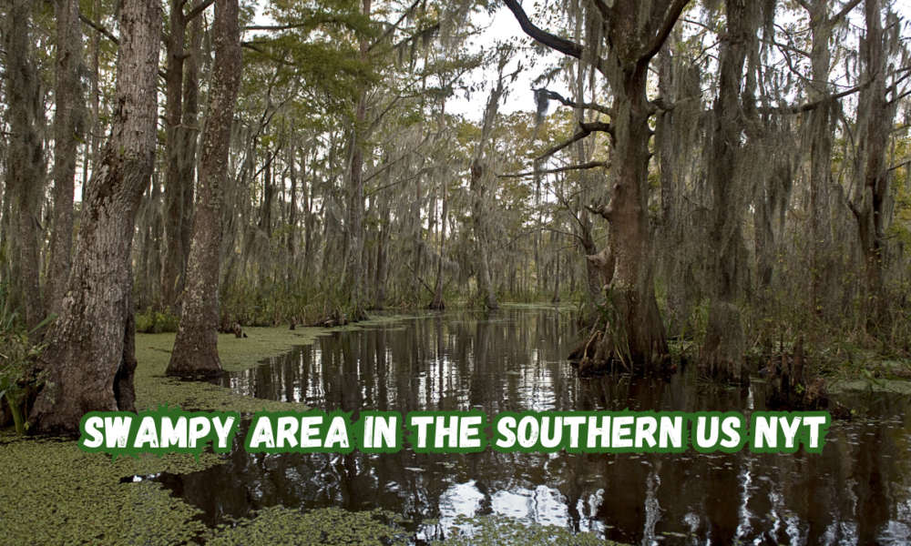 Swampy Area in The Southern US NYT