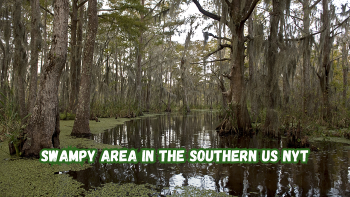 Swampy Area in The Southern US NYT