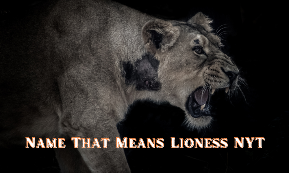 Name That Means Lioness NYT