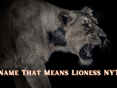 Name That Means Lioness NYT