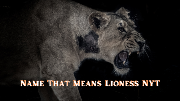 Name That Means Lioness NYT