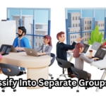 Classify Into Separate Groups Nyt