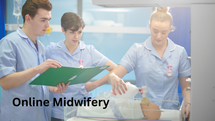 Online midwifery