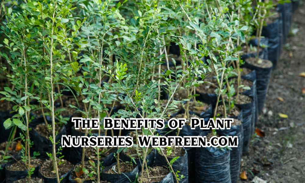 The Benefits of Plant Nurseries Webfreen.com