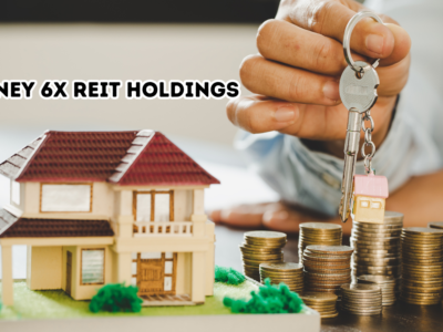 Money 6X REIT Holdings