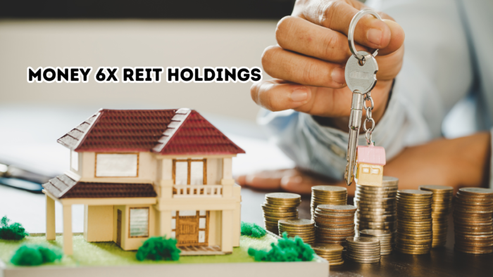 Money 6X REIT Holdings