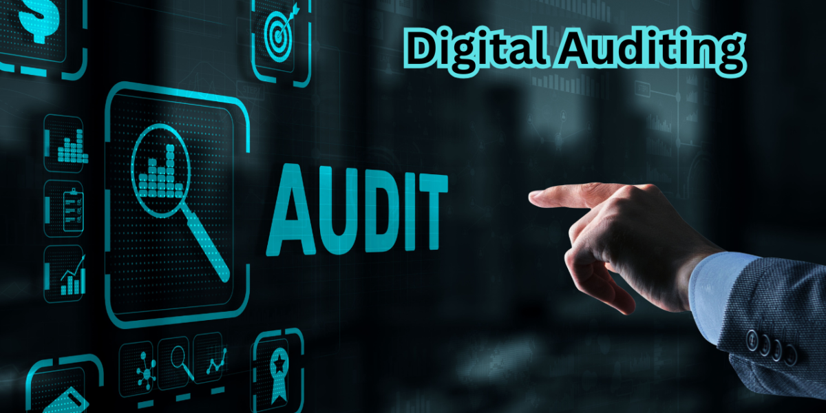 Digital Auditing