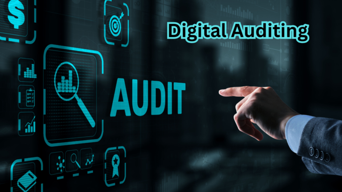 Digital Auditing