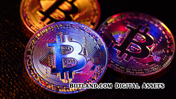 Biitland.com Digital Assets