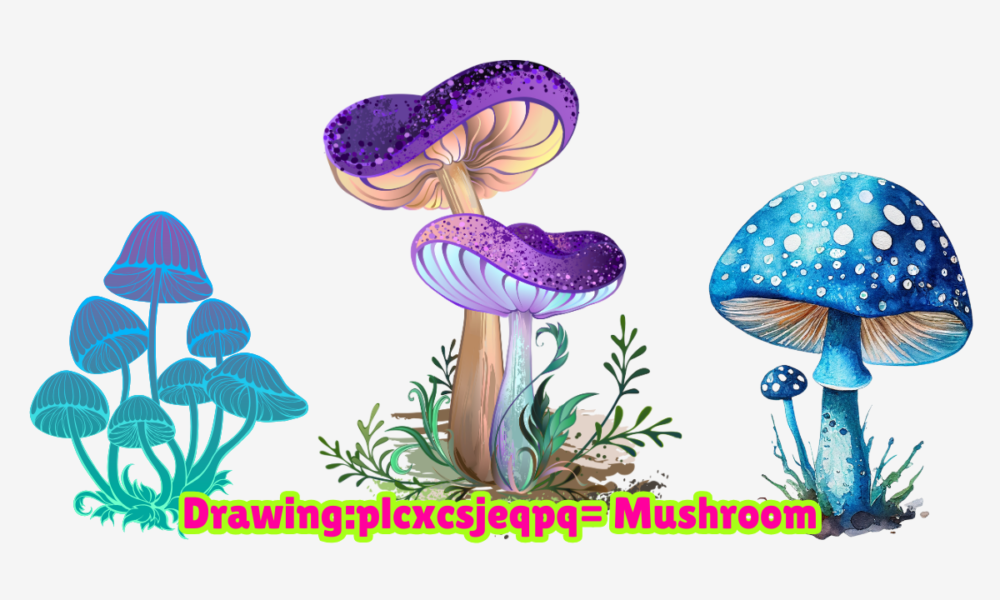 Drawing:plcxcsjeqpq= Mushroom