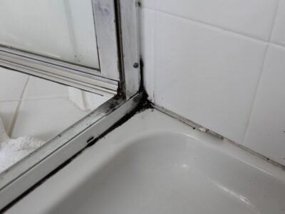 Mould Removal