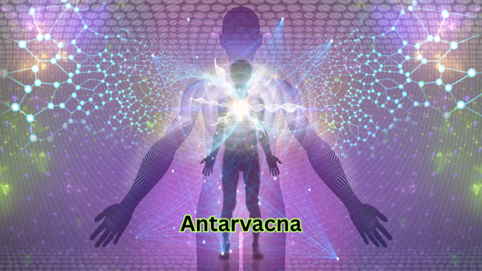 Antarvacna