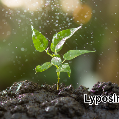 Lyposingrass