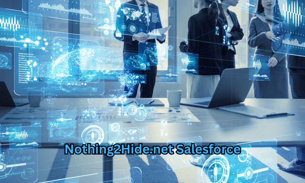Nothing2Hide.net Salesforce