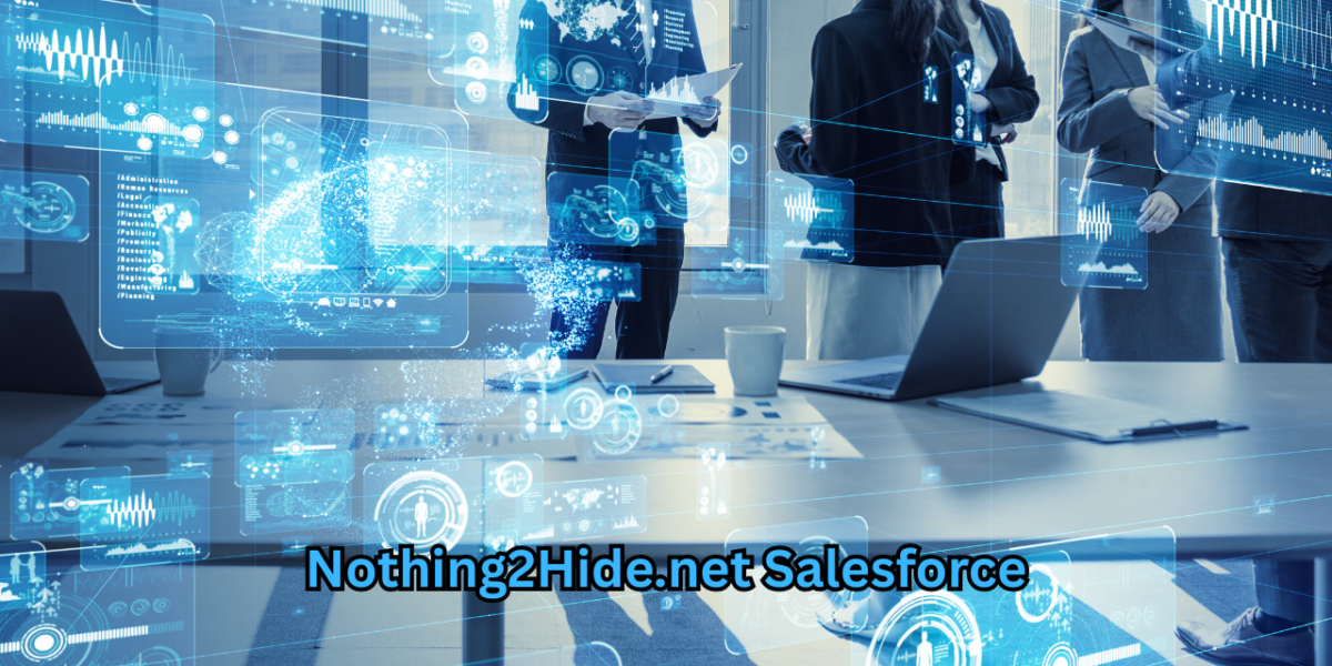Nothing2Hide.net Salesforce
