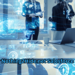Nothing2Hide.net Salesforce