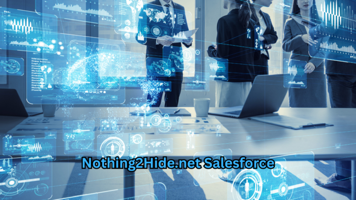 Nothing2Hide.net Salesforce