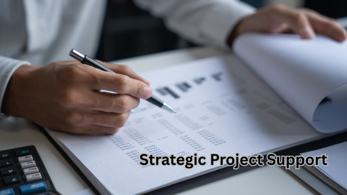 Strategic Project Support