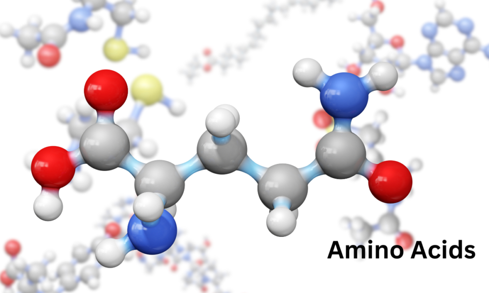 Amino Acids