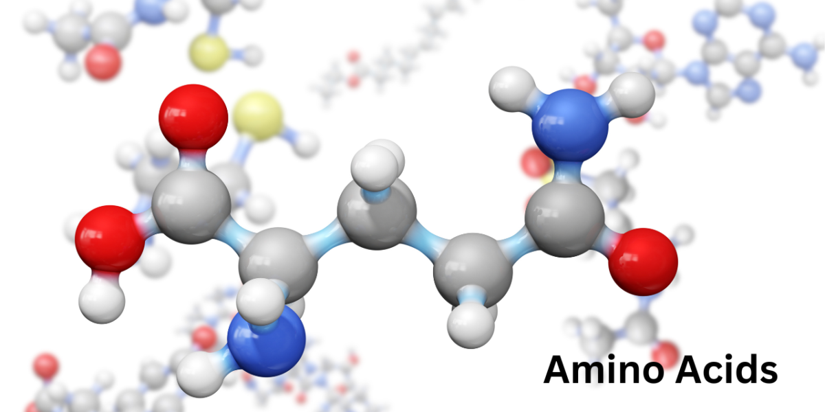 Amino Acids