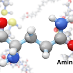 Amino Acids