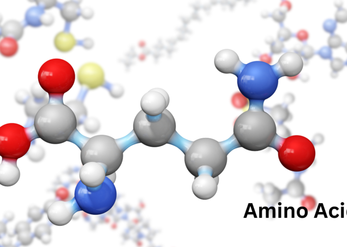 Amino Acids